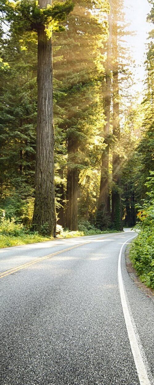 Пример изображения для макета изображения на стекле, фото 17